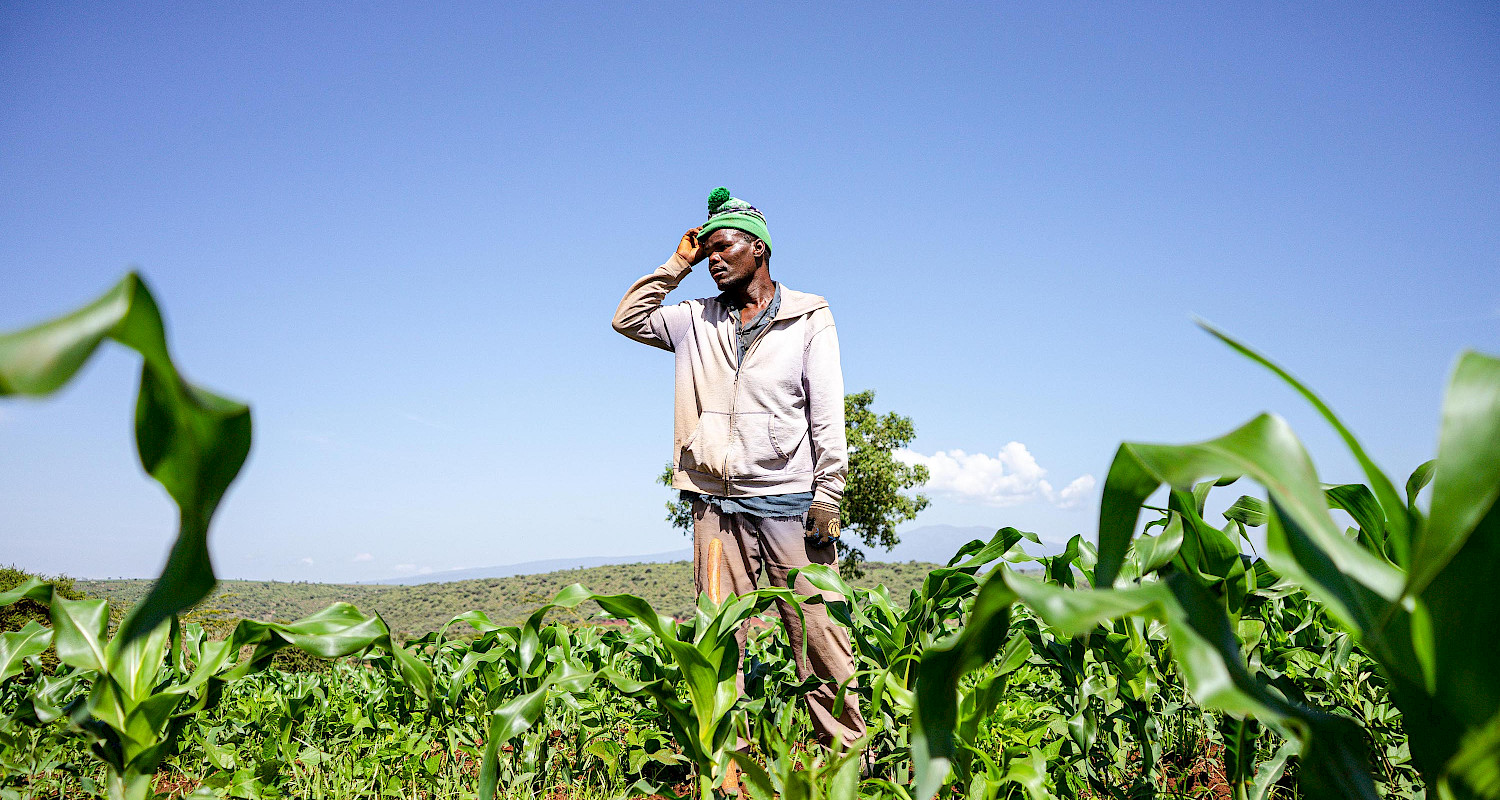 $Strengthening Tanzania's Health Systems Through Innovation and Collaboration